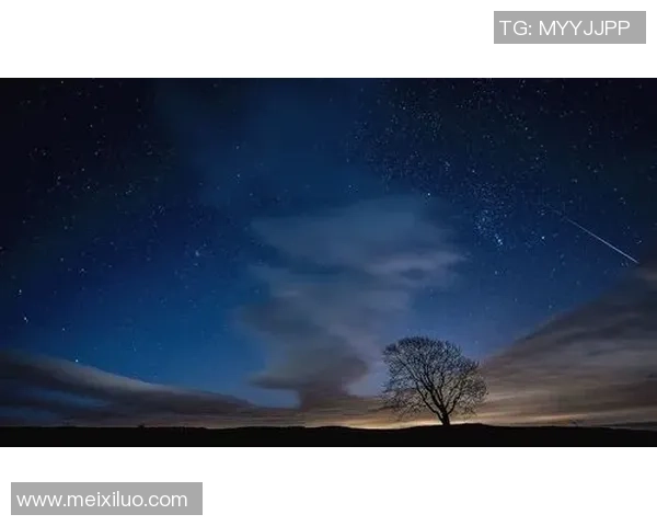 西班牙足球明星的璀璨星空谁是其中的璀璨之星